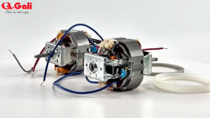 Motor Sinh Tố Gali Chuyên Dụng Cho Máy Xay Sinh Tố Model GL-1522 ( Bộ Chuyển Đổi Tăng Giảm) - Chất Lượng Cao Dây Đồng 100% Hoạt Động Mạnh Mẽ Tuổi Thọ Cao.