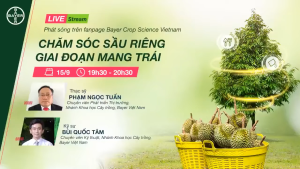 Thuốc trừ bệnh ANTRACOL 70WP - Gói 100gr - Phòng trừ hiệu quả nhiều loại bệnh thán thư sương mai đạo ôn trên lúa rau màu và cây cảnh.