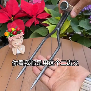 ถือพลั่วสองฟันเพื่อคลายดิน สิ่งประดิษฐ์ทำสวน เครื่องมือปลูกผัก ดอกไม้ ปุ๋ย และกำจัดวัชพืช