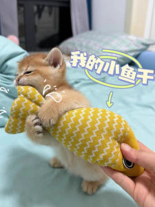 Interactive Cat Toy Wave Fish Teaser Stick Chew Resistant Durable Pet Supplies for Kittens And Cats to Play And Have Fun
