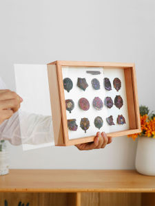 Three-Dimensional Hollow DIY Photo Frame Medal Badge Stamp Display Frame Custom Solid Wood Specimen Box Suspension Wall Hanging Picture Frame