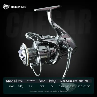 Bearking | Saltwater Resistant Sealed Fishing Spinning Reel