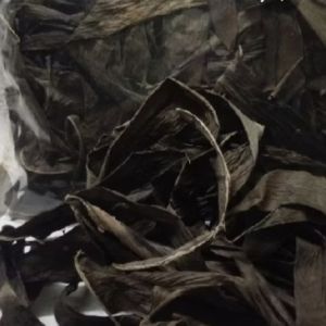 Rhaphidophora Decursiva爬树龙(Organic & Natural./有机&天然)50g
