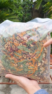 Trà Sơn Mật Hồng Sâm Đông Trùng Táo Đỏ thanh nhiệt-Túi 1Kg
