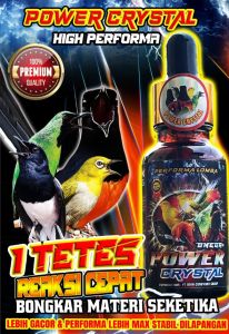 Power Kristal kicau Plus Omega multivitamin meningkatkan kecerdasan burung dan Penggacor burung
