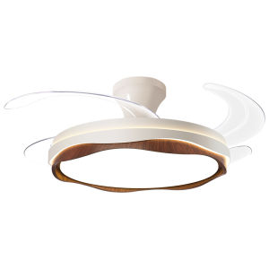 DGY | Vintage Style Quiet Integrated Ceiling Fan Light