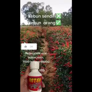 PUPUK CAIR ANTEK BASMI PATEK KERITING DAUN LAYU DAUN KUNING PENGUSIR HAMA ANTRAKNOSA CABE FUNGISIDA ANTI BUSUK BUAH ORGANIK HORMON PETUMBUHAN BOOSTER BUAH ZNSO4  100ML