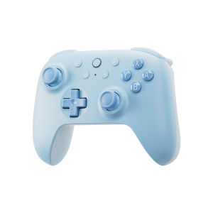 8BitDo | Vibration & Motion Sensing Gamepad for Nintendo Switch Lite & OLED
