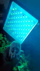 PHA LED ĐỔI 99 MÀU | ĐIỀU KHIỂN BẰNG REMOTE | CHỐNG NƯỚC IP 66 | SIÊU SÁNG