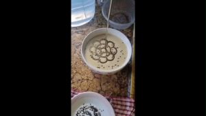 Beehive Brass Mould/Traditional Honeycomb Shape Mold/Deepavali Homemade Honeycomb &Star Shape Cookies/Acuan Loyang Tebal/Bintang Tembaga