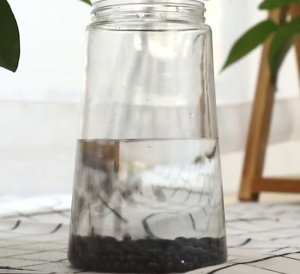 Hạt khử mùi cát Mèo than hoạt tính chai 300gram (mẫu mới) - Hara Pet Store