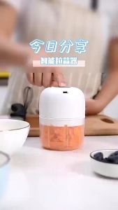 Máy xay tỏi ớt mini sạc điện có cổng sạc usb xay gia vị dung tích 250ML cầm tay đa năng