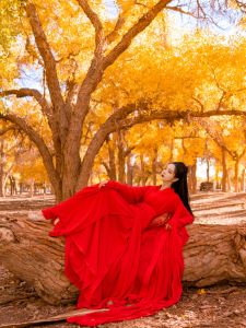 ชุดฮันฟูสีแดง ชุดเต้นรำ ชุดการแสดง ชุดโบราณ ชุดฮันฟูหญิง ชุดฮันฟูฤดูร้อน ชุดฮันฟูสุดสง่างาม ชุดฮันฟูสุดสง่างาม