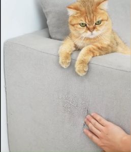 Everything แผ่นลับเล็บแมว พรมลับเล็บ ช่วยลดความกังวลของสัตว์เลี้ยงได้ สามารถต่อเป็นหลายชิ้นได้ ใช้ติดได้หลายพื้นที่ 30x30/60x60/60x100