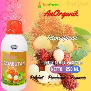 Pupuk Pelebat Buah Rambutan / Pupuk Penyubur Buah Rambutan / Pupuk Booster Buah Rambutan / Pupuk Buah Berbuah Lebat Rambutan / Pupuk Buah Rambutan
