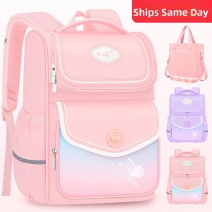 PAIR BOY | Ergonomic Lightweight School Bag