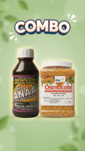 [ORIGINAL] COMBO OSMOCOTE 14-14-14 + Philor ANAA Complete Plant Nutrition Root & Flower Booster