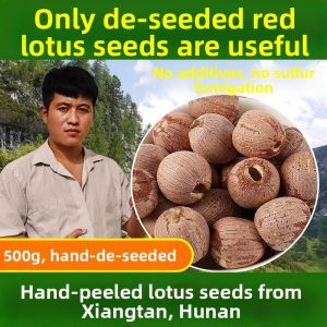 Large Core Red Lotus Seeds 500g