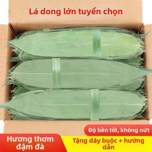 Lá Tre Tươi Cỡ Lớn Chất Lượng Cao cho Bánh Zongzi