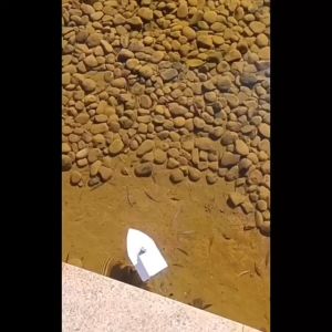 Chân vịt mini chế thuyền mô tơ 130 3V 6V 15300rpm trục 5cm 10cm khớp nối đế pin mới 100% - HM0426