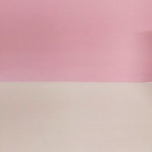 S13 ซองซิป 3 ด้าน หน้าใสหลังโฮโลเเกรม (บรรจุ 50ใบ/แพค)