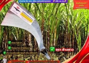 มีดตัดอ้อย ตราค้างคาว ทำมาจากเหล็กสปริงแท้ น้ำหนักเบาด้ามใหญ่ ลับคมได้ง่ายคงนานมาก