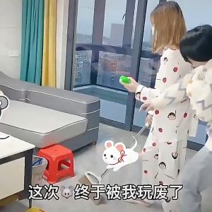 Rat Repellent Spray: Protect Your Home from Pests