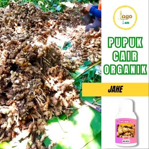 Pupuk Organik Cair Jahe 100 Ml: Booster Penyubur & Penggemuk Tanaman