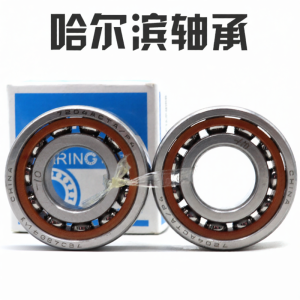 HRB | Precision Paired Bearings