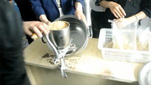 Corn Mill & Manual Rice Mill: A Comprehensive Guide