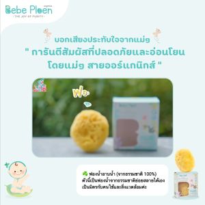 เเพ็คคู่ ฟองน้ำธรรมชาติ 100% ขนาดเล็ก และ กลาง | ขนาดเล็กและกลาง ฟองน้ำธรรมชาติที่มีคุณภาพ