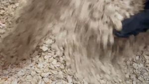 ข้าวโอ๊ต (Oat) อบ พร้อมทาน มีคุณค่าทางอาหารสูง เป็นอาหารคลีน อุดมไปด้วยคุณประโยชน์มากมาย