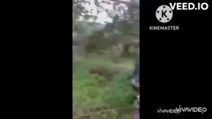 อุปกรณ์ตัดแต่งปาล์ม เครื่องตัดปาล์มน้ำมัน เปลี่ยนหัวได้ 3 หัว ความยาวรวมคนยาวถึง 4.80 เมตร ทำจากวัสดุเกรดดีแข็งแรง มีอนุสิทธิบัตร