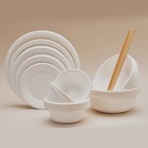 Tableware Sugarcane Pulp Degradable Picnic Dish Bowls and Chopsticks