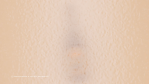 PROMO 2 BOTTLES Mollys Irish Cream Liqueur 750 mL 17 Percent ABV