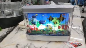 Panduan Membeli Pajangan Meja Aquarium Mini & Dekorasi Ruangan Menarik