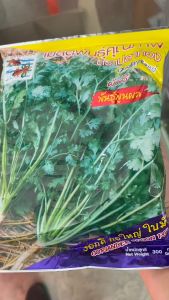 ยกลัง ผักชี ปลาทอง พันธุ์พูนผล [ ขนาด 300 กรัม ] หมดอายุ  11/69 ยกลัง 60 ถุง ลอตใหม่ ล่าสุด งอกดี ต้นอวบ ก้านใหญ่ ใบใหญ่ ออกดอกช้า รากแขนงยาว ใหญ่