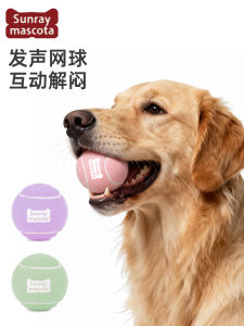 Sunraymascota Dog Tennis Toy Interactive Pet Teeth Grinding High Elasticity Training Ball for Dogs Natural Rubber Ball for Pets