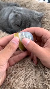 แคทนิปบอล ที่นิยม การฝังติดกำแพง เพื่อสุดผลการฝัง บอลแมว กัญชาบอล และกัญชาแมว แบบไม่กลิ้งหาย