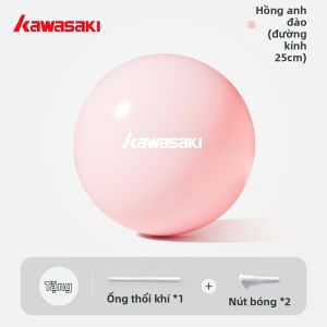 Kawasaki | Cầu Tập Thể Dục Nhỏ Phục Hồi Sàn Chậu