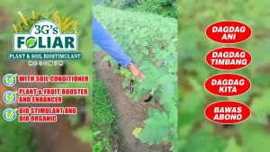 3Gs FOLIAR – SOIL AND PLANT BIOSTIMULANT JAPAN TECHNOLOGY FOLIAR FERTILIZER