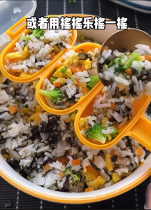 素食芝麻海苔碎250g Vegetarian Sesame Seaweed Flakes 千阪屋QianBanWu 海苔紫菜拌饭碎 / 宝宝副食品 健康零食