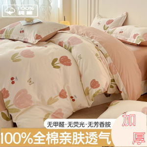 Thickened Luxury Pure Cotton Four-Piece Set 100% Full Cotton Brushed Nordic Style Bedding Sheet Cover Simple Quilt Cover Warmth Autumn And Winter Products