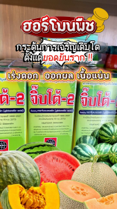 จิ๊บโต้ -2 ขนาด 100cc กรดจิบเบอร์เรลลิค แอซิด 2% (Gibberellic Acid ) ยายืดช่อดอก ยืดรวงข้าว ยืดต้นกล้า
