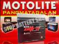 MOTOLITE NS60 ULTRA PLUS Maintenance Free Car Battery NS60L 1SNF 1SN ...