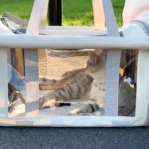 Portable Pet Cat Carrier Bag Travel Pet Carrier Kucing Travel Beg Cat Travel Bag 宠物包貓包 Foldable/ Beg Kucing