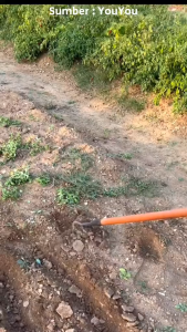 Cangkul Tip Segitiga Cangkul Penggembur Tanah/Cangkul Bajak Sawah