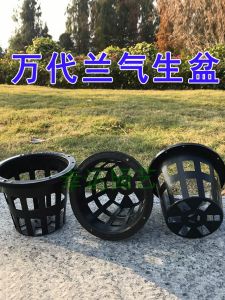 Black Plastic Orchid Pot Root Control Basket for Planting Stone Orchid Phalaenopsis Air-Laid Flowers Simplicity round Pots