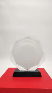 Award Glass Crystal Plaque TROPHIES (6 DESIGN AVAILABLE)