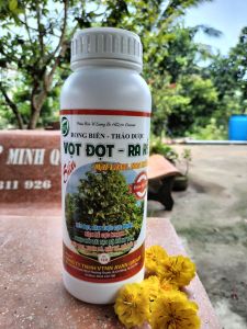 PHÂN BÓN LÁ RONG BIỂN THẢO DƯỢC - VỌT ĐỌT RA RỄ- KÉO ĐỌT ĐÂM CHỒI CỰC MẠNH KÍCH THÍCH RA RỄ MẠNH _ CHUYÊN DÙNG MAI VÀNG HOA KIỂNG  CAM CHANH QUÝT BƯỞI SẦU RIÊNG RAU MÀU......